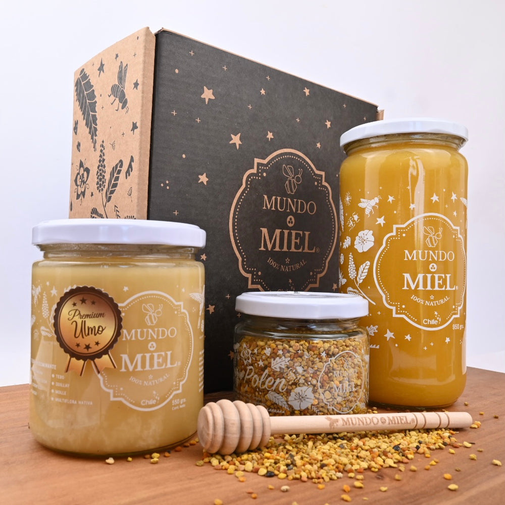 KIT FAMILIA PROTEGIDA